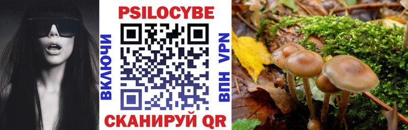 продажа наркотиков  ссылка на мегу зеркало  Галлюциногенные грибы MAGIC MUSHROOMS  Ступино 