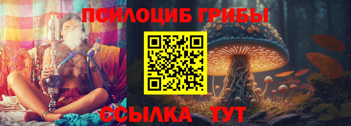 Галлюциногенные грибы Magic Shrooms  Вход с VPN  Ступино 