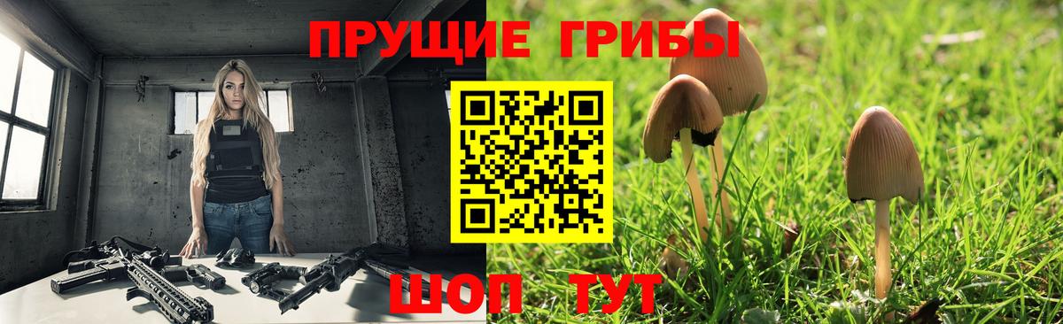 Галлюциногенные грибы Cubensis Ступино